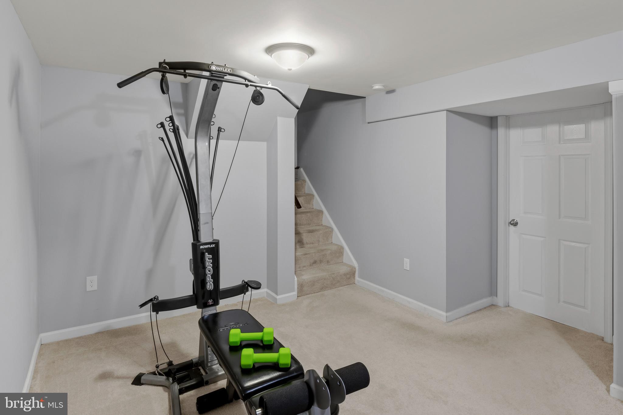 864 Snow Valley Lane Odenton, MD 21113 - Photo 30 of 42 Lower Level 2 (alt view)