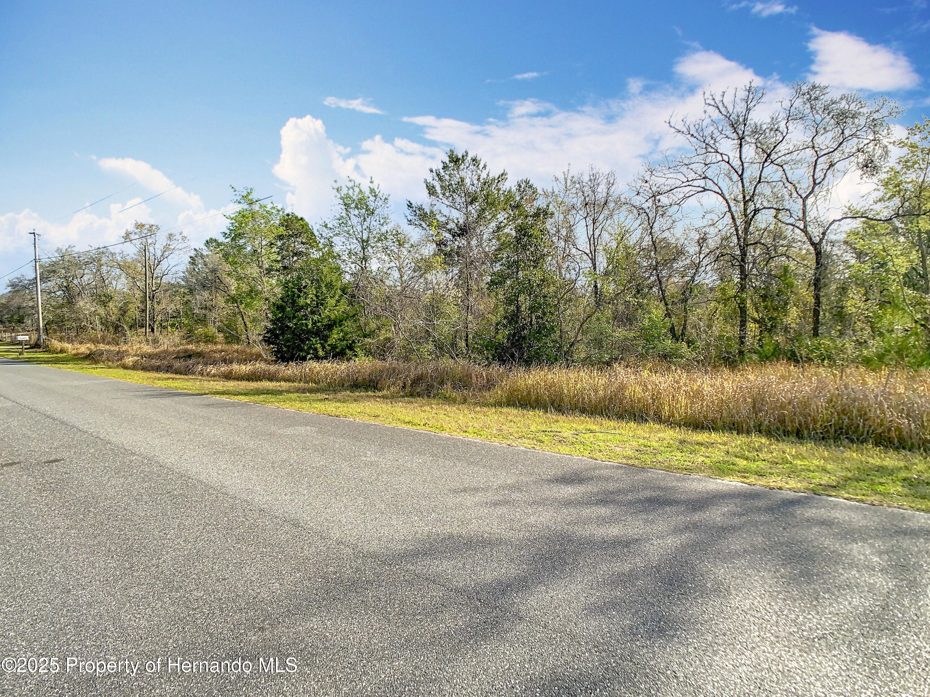 0 Maripoe Road Weeki Wachee, FL 34614 - Photo 2 of 39