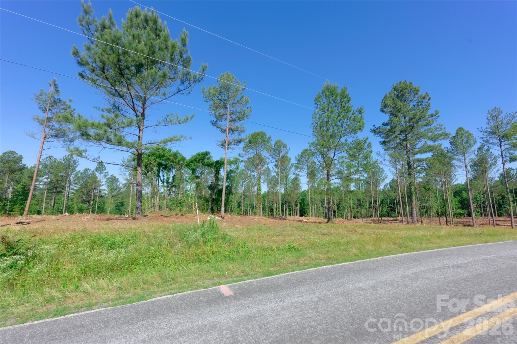 0 Carson Road, Unit 6 Cleveland, NC 27013 - Photo 2 of 17