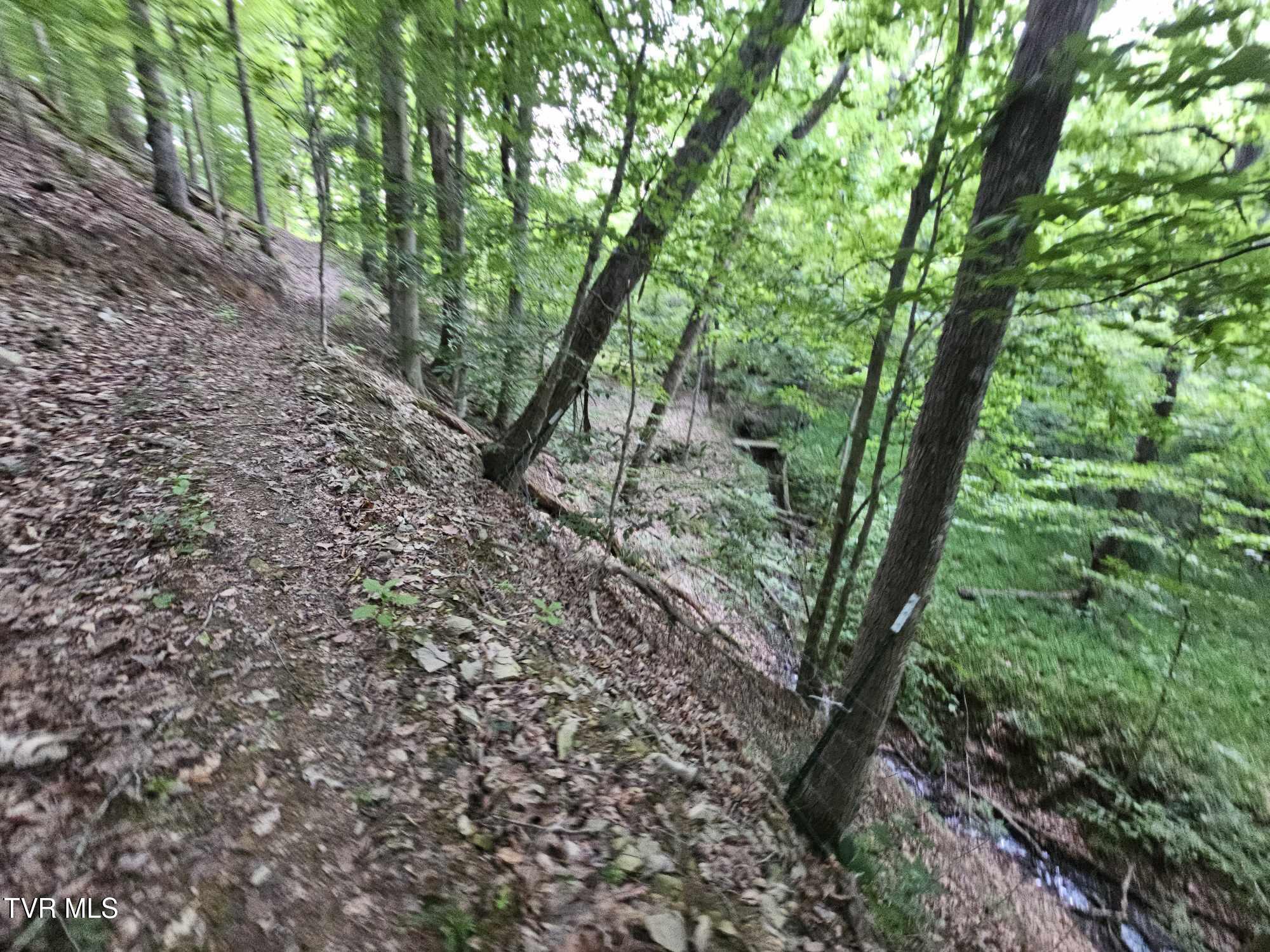 2264 Devault Bridge Road Piney Flats, TN 37686 - Photo 29 of 29 fc1acd2a-9bc1-4b26-9d53-a14b51faef5d