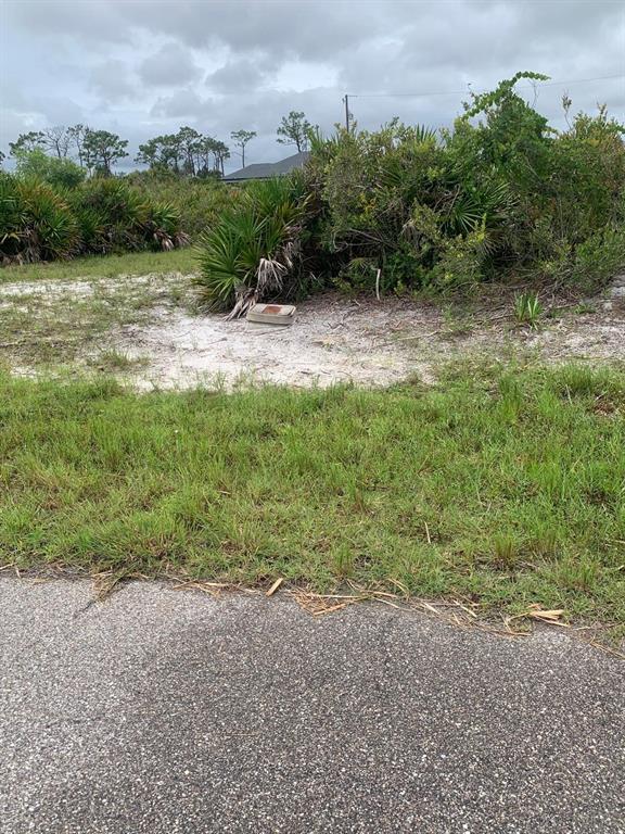 6 Aft Court Placida, FL 33946 - Photo 3 of 5 a view of a field with plants and trees