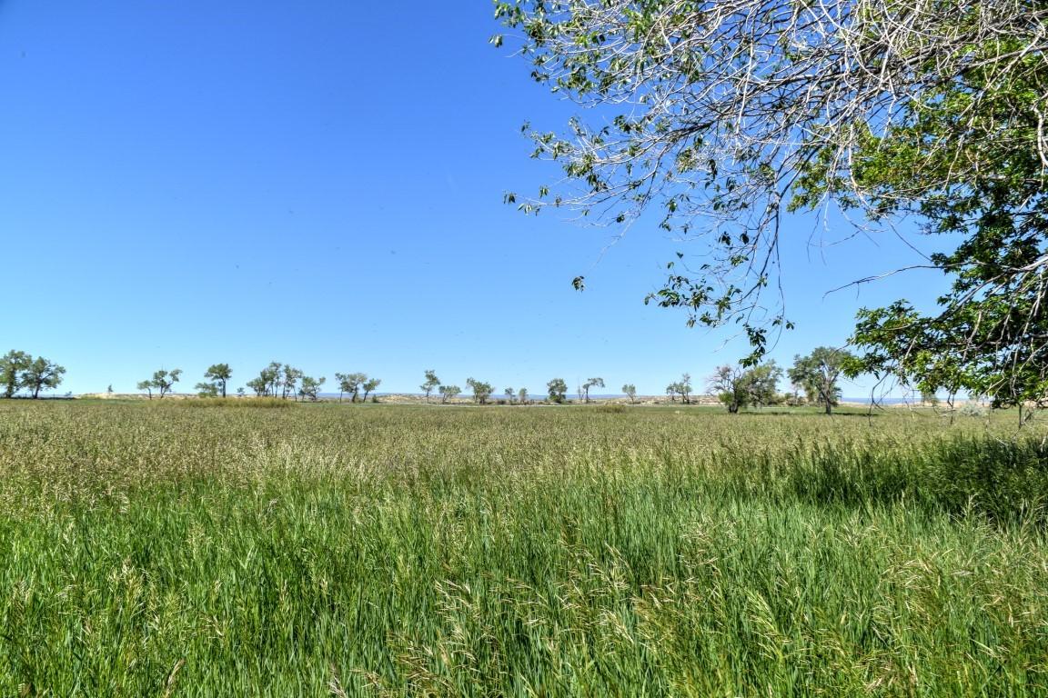 Tbd Sunnyside Road Montrose, CO 81401 - Photo 2 of 21 a view of a big yard with lots of green space