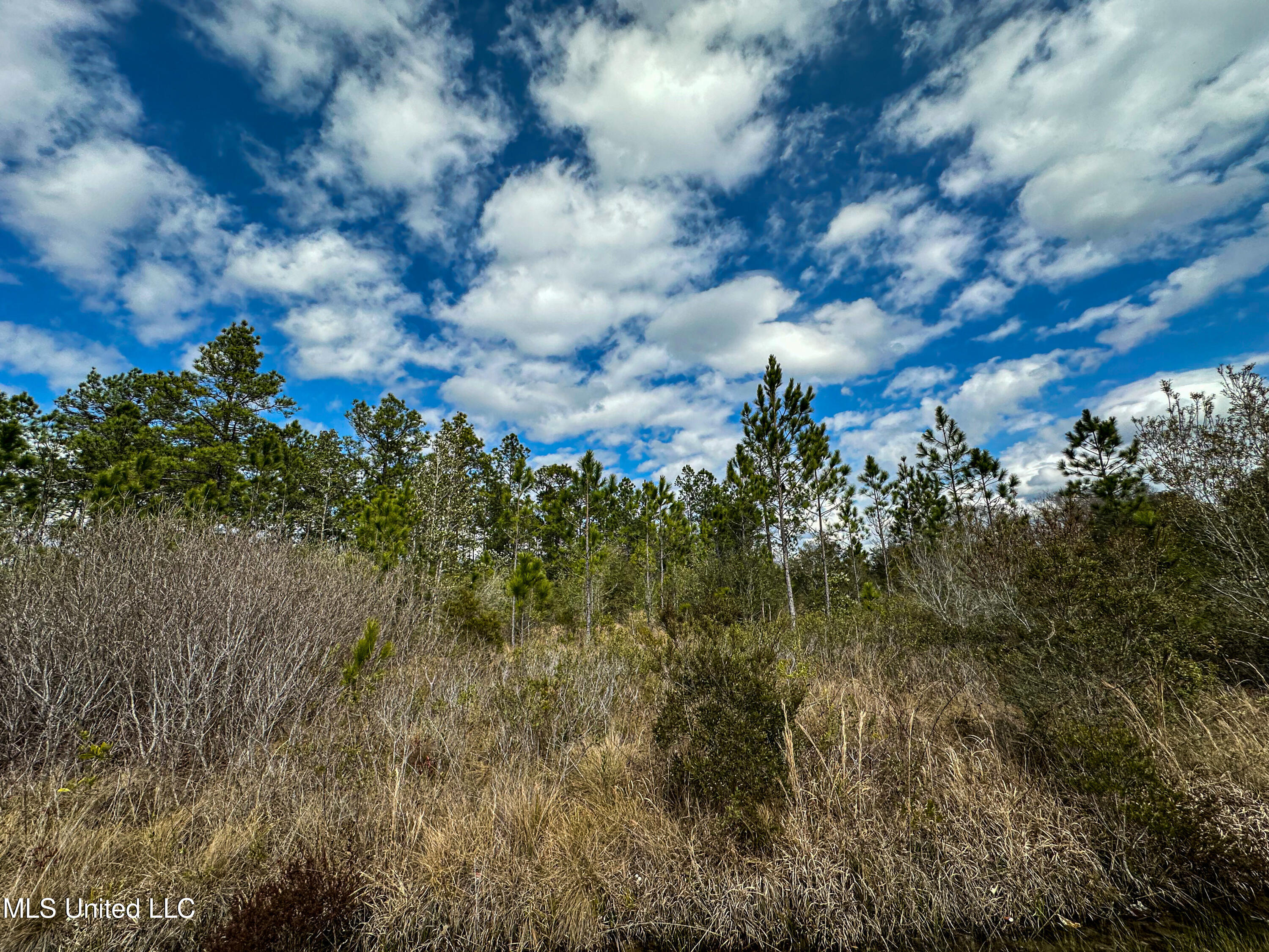 613 Highway Moss Point Moss Point, MS 39562 - Photo 10 of 14 IMG_7015