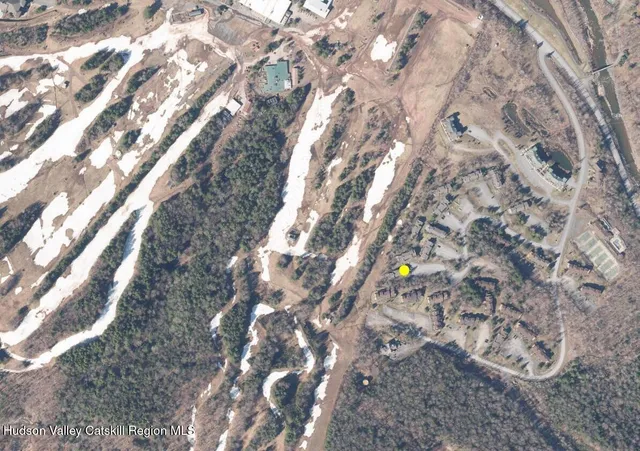 a view of outdoor space with lots of trees