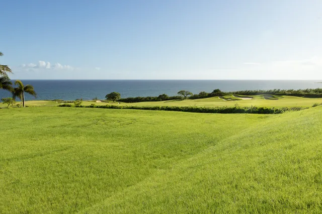 a view of an ocean and beach