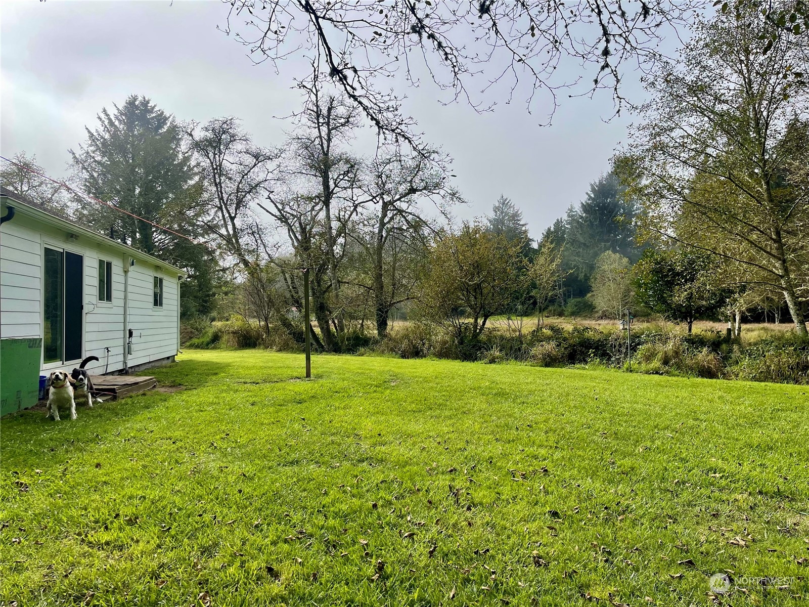 27911 Sandridge Road Ocean Park, WA 98640 - Photo 7 of 27 Gallery Image 7