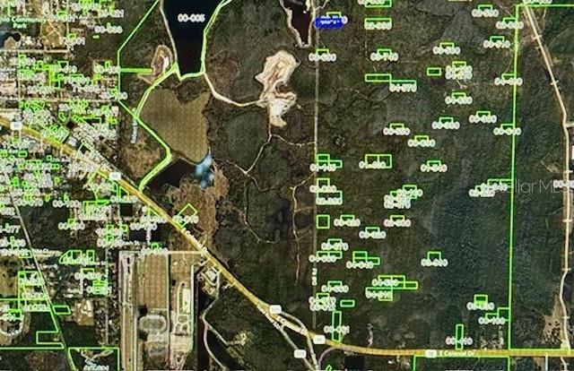 1425 Dill Road Christmas, FL 32709 - Photo 2 of 3 a picture of street