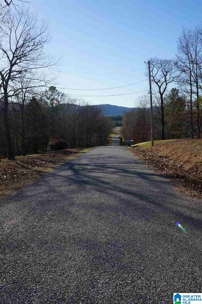 0 Fulton Circle, Unit 4 ACRES Sylacauga, AL 35150 - Photo 7 of 7