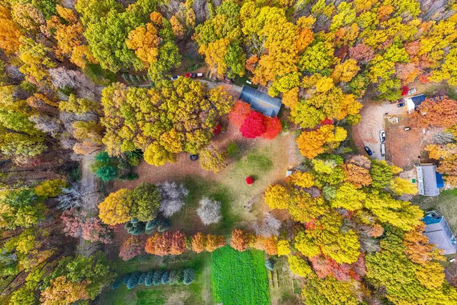 $325,000 | 4725 Head Lake Road, Hastings, MI 49058