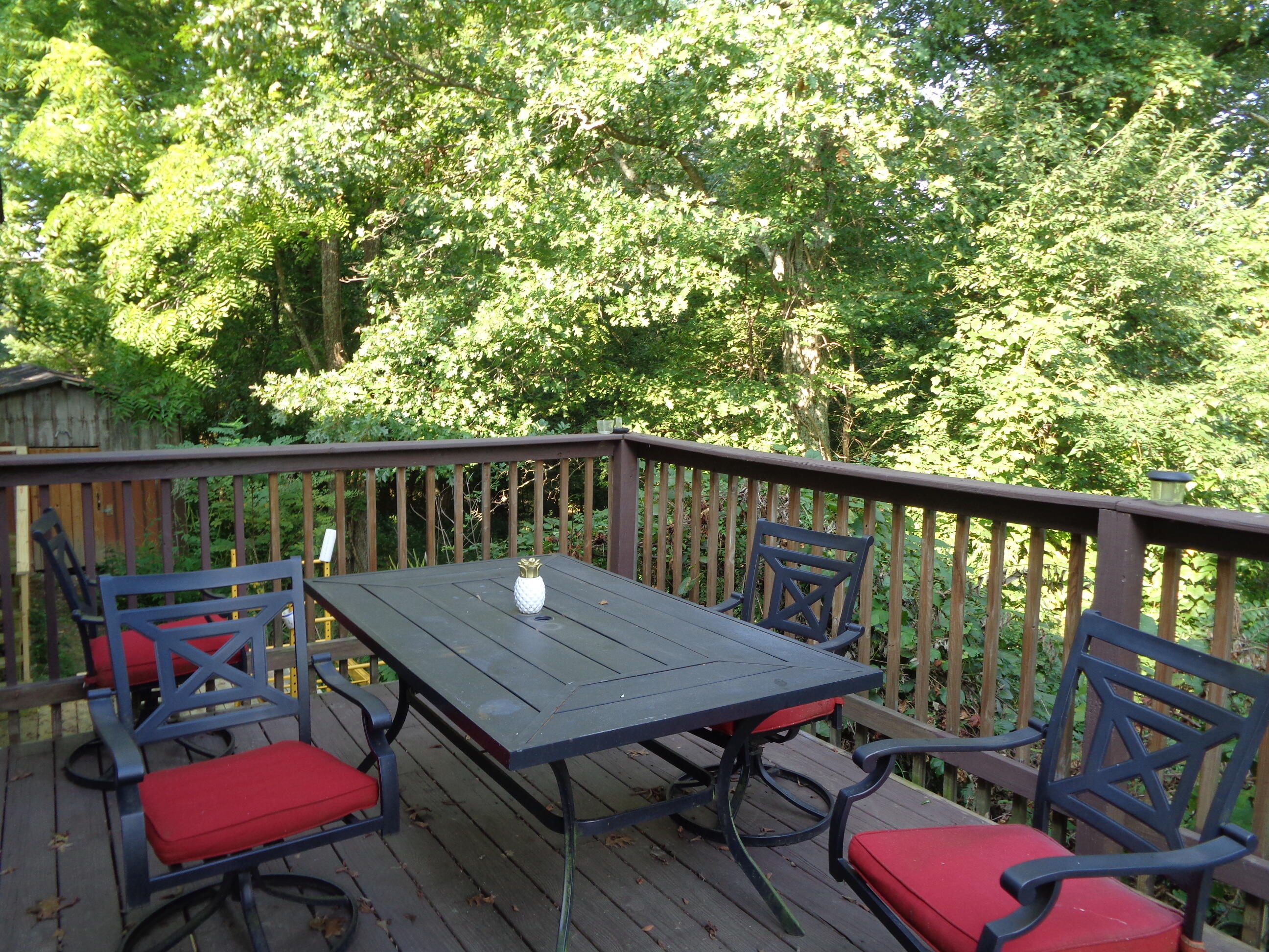 1409 Corinth Road Lawrenceburg, KY 40342 - Photo 15 of 38 DSC00766