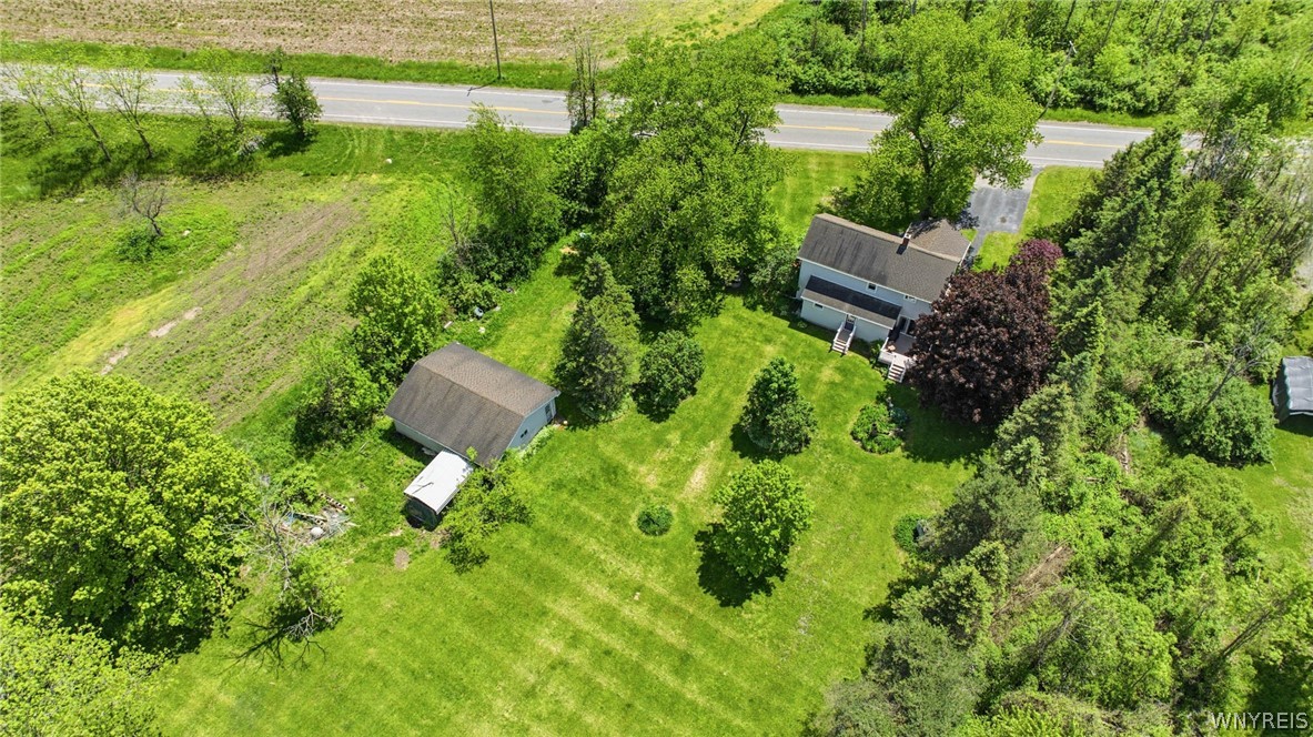 12318 Buckwheat Road Newstead, NY 14001 - Photo 45 of 49