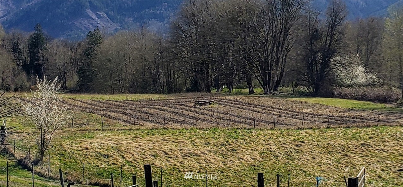 13463 Avon Allen Road Mount Vernon, WA 98273 - Photo 1 of 1 a view of a backyard of the house