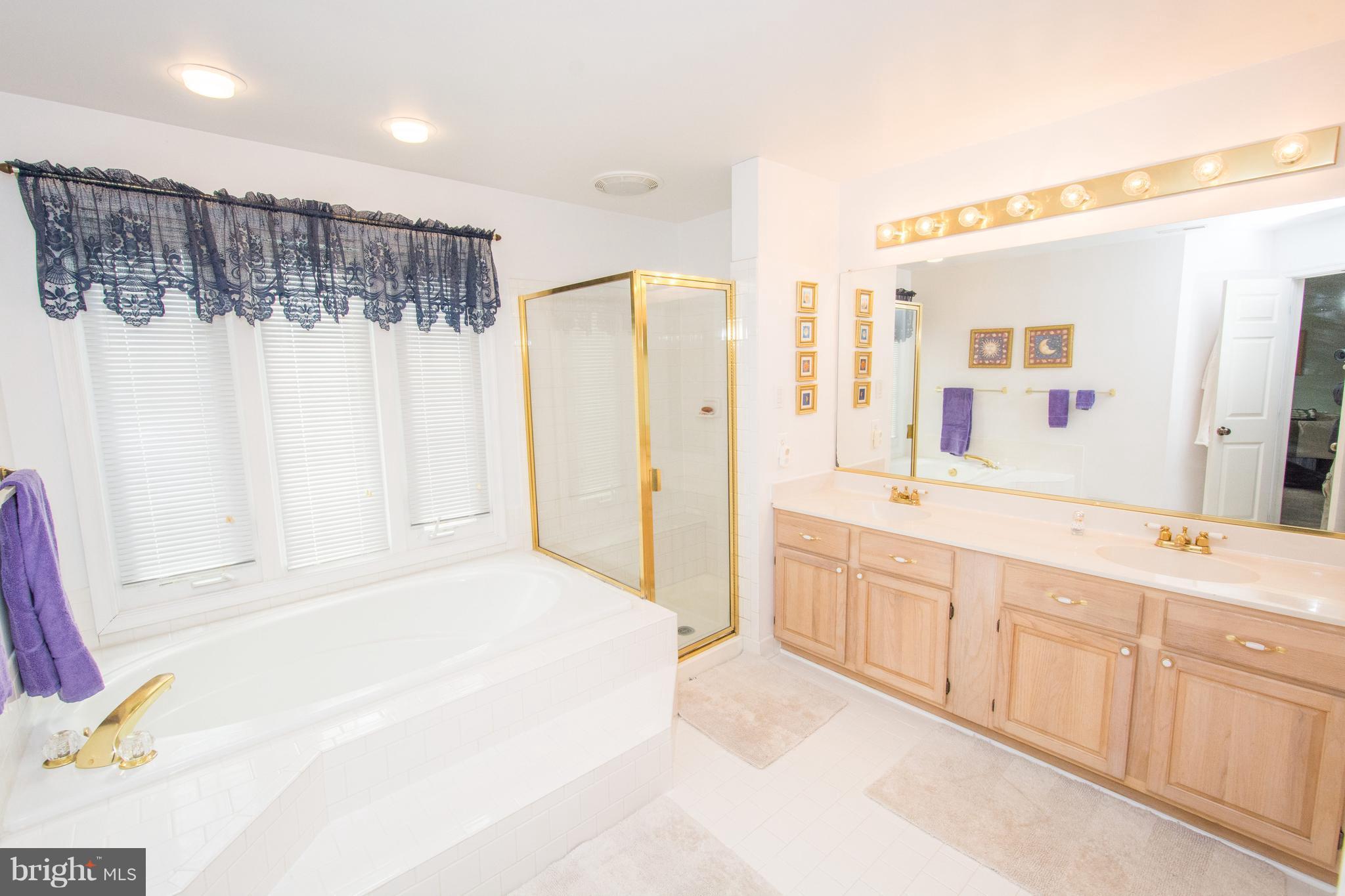 5281 Rising Sun Lane Ellicott City, MD 21043 - Photo 14 of 30 Bath (Master)