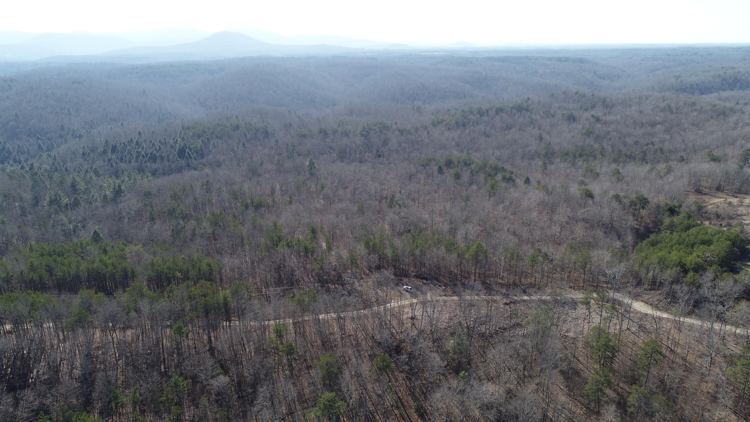 777 Rocky Point School Road Williamsburg, KY 40769 - Photo 16 of 31 DJI_0248