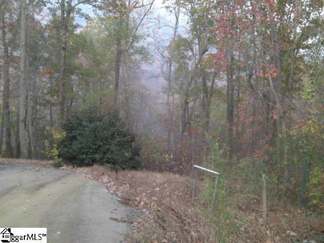 490 Callahan Mountain Road Travelers Rest, SC 29690 - Photo 12 of 13 Gallery Image 12