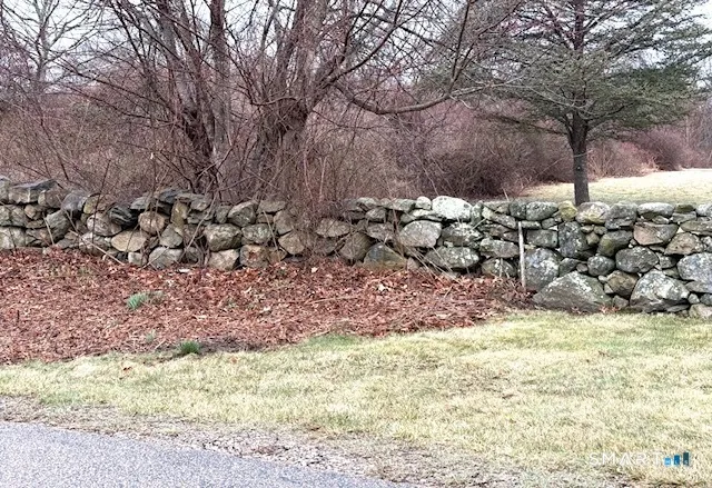 a view of a yard with a tree