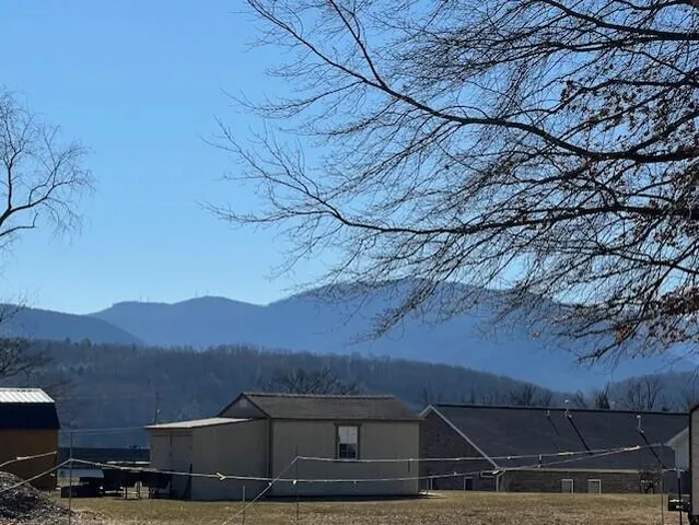 a view of house with a yard