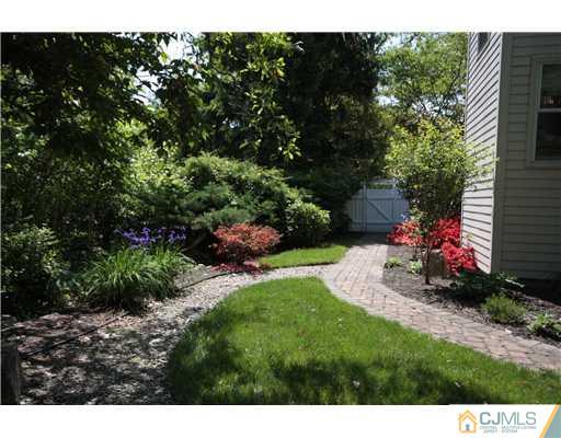 158 Valley Road Princeton, NJ 08540 - Photo 5 of 25 a view of a backyard with potted plants and large tree