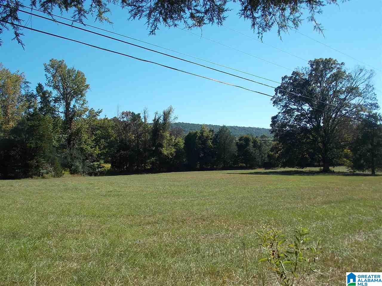 680 Brooks Lane Oneonta, AL 35121 - Photo 20 of 27