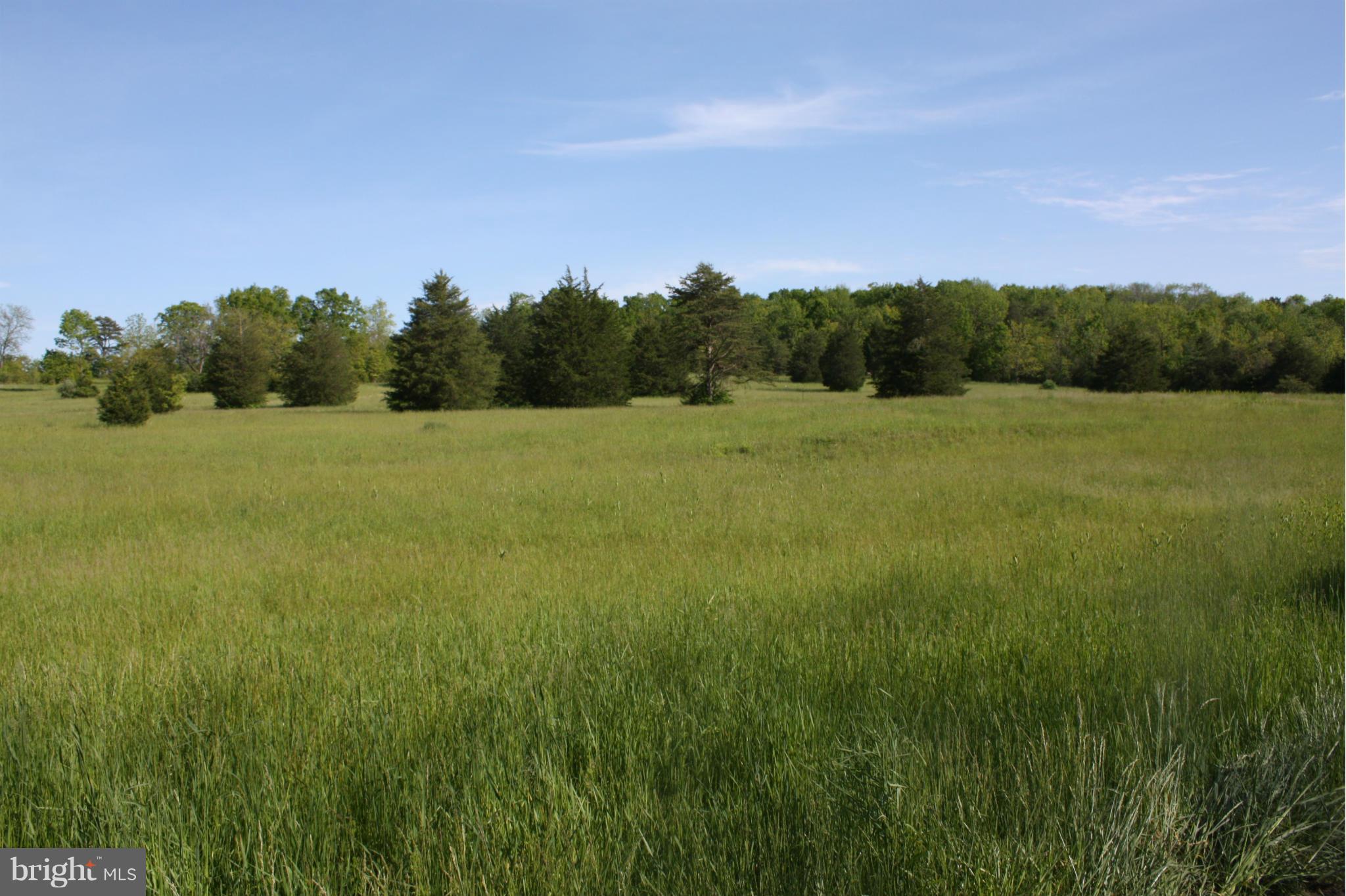 0 Kibler Road Quicksburg, VA 22847 - Photo 1 of 6 View