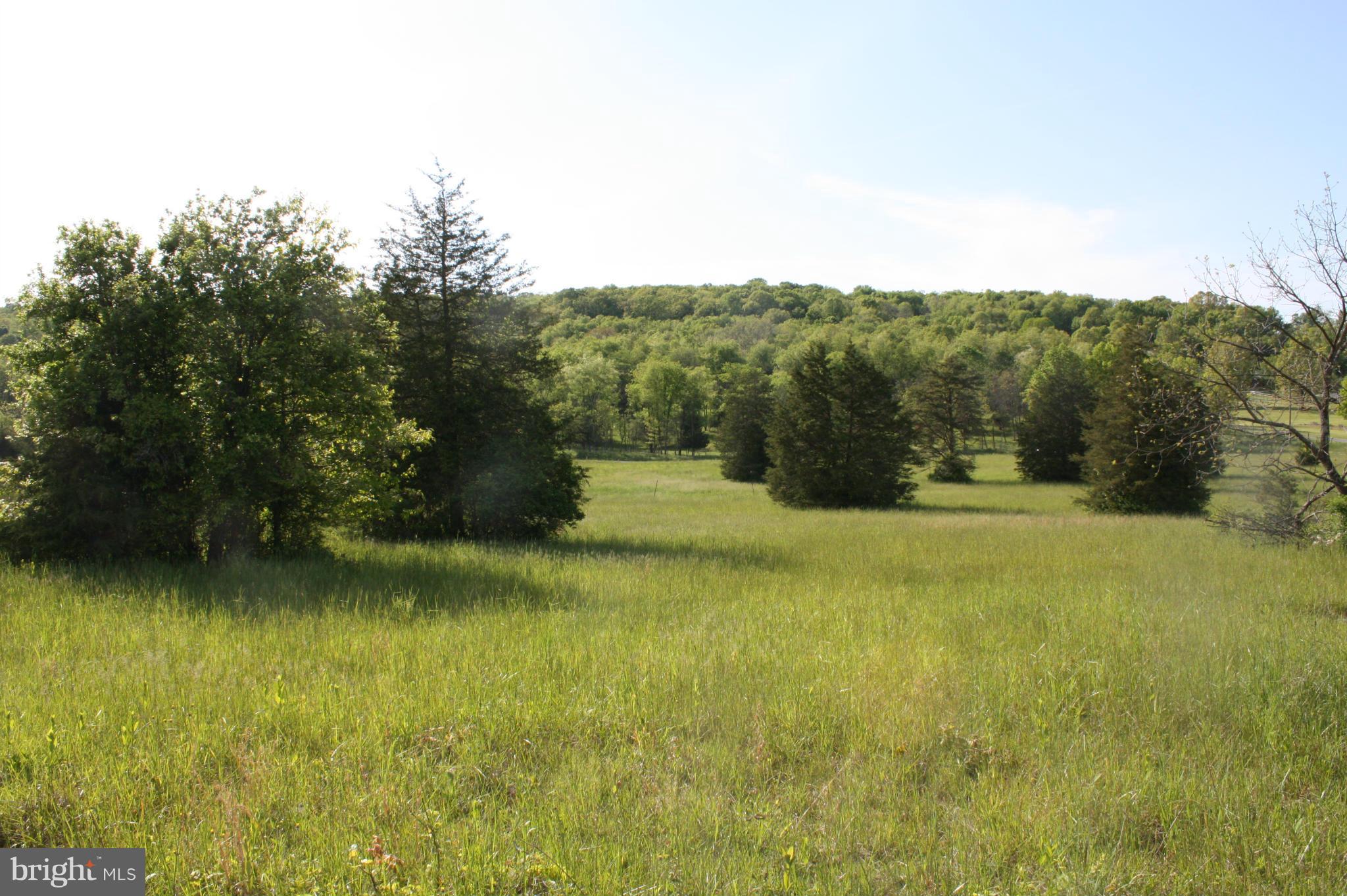 0 Kibler Road Quicksburg, VA 22847 - Photo 3 of 6 View