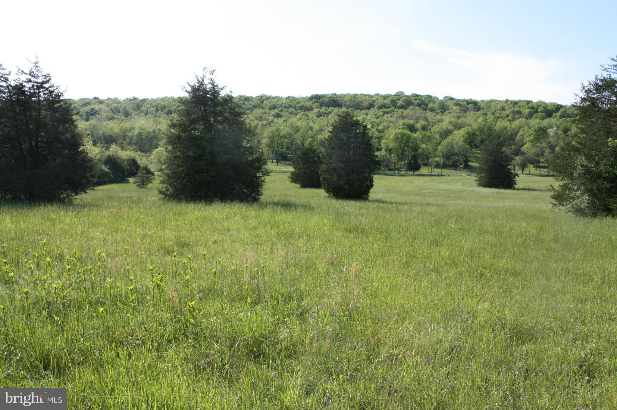0 Kibler Road Quicksburg, VA 22847 - Photo 4 of 6 View