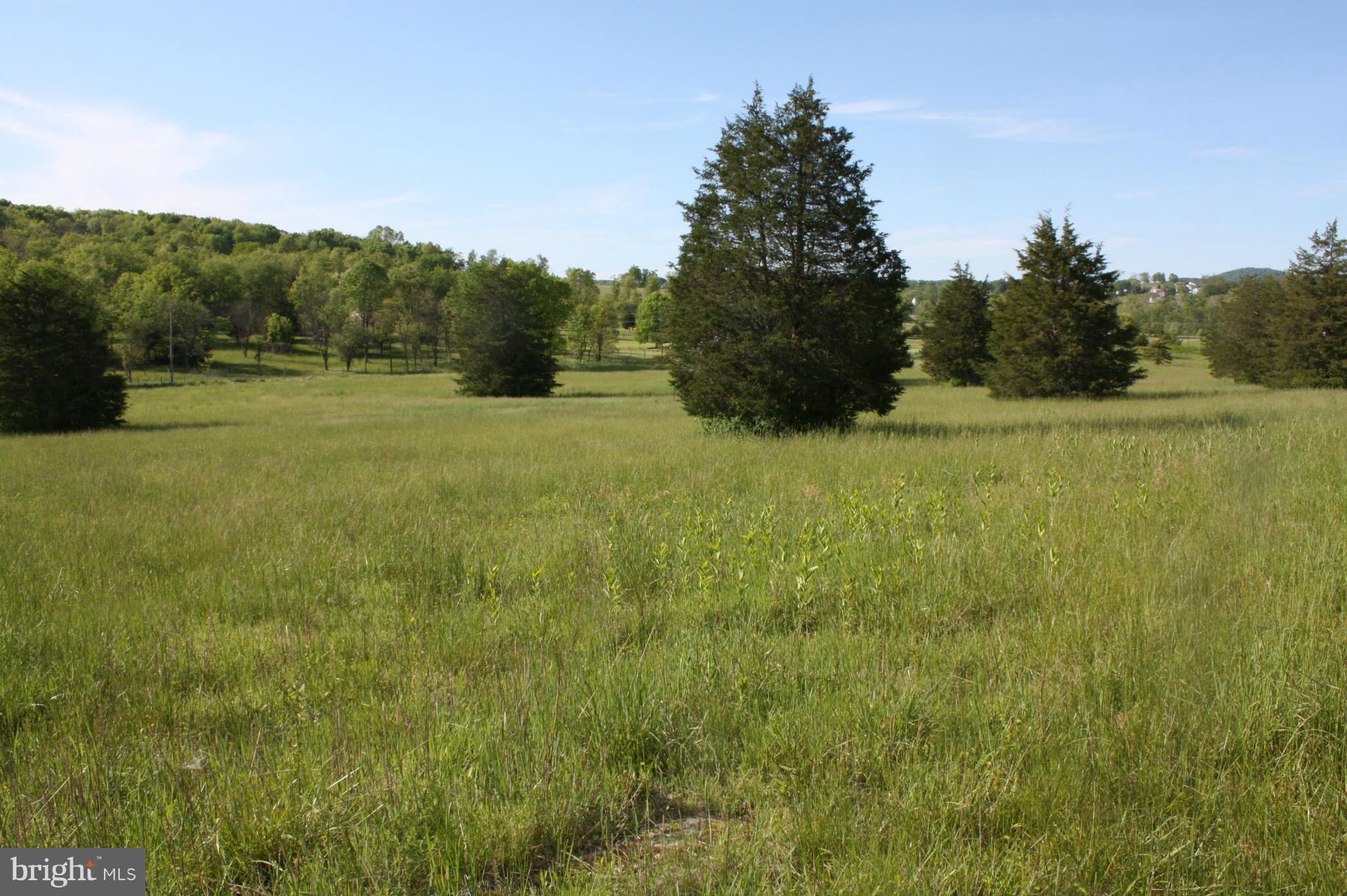 0 Kibler Road Quicksburg, VA 22847 - Photo 5 of 6 View
