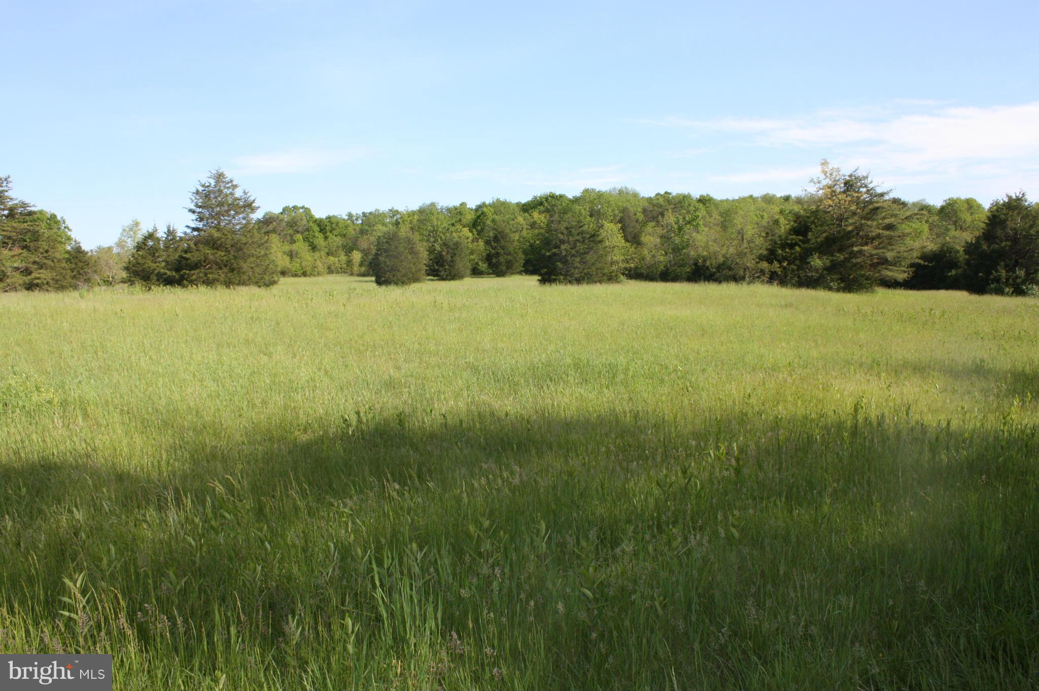 0 Kibler Road Quicksburg, VA 22847 - Photo 6 of 6 View
