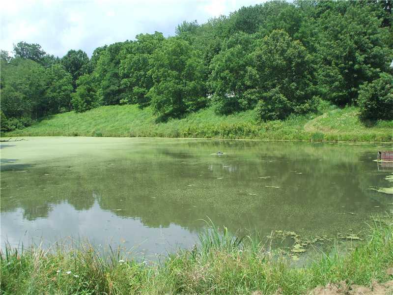 340 Jolly School Road Washington, PA 15301 - Photo 8 of 18 Waterfront/Dock/Pier. 1 acre pond