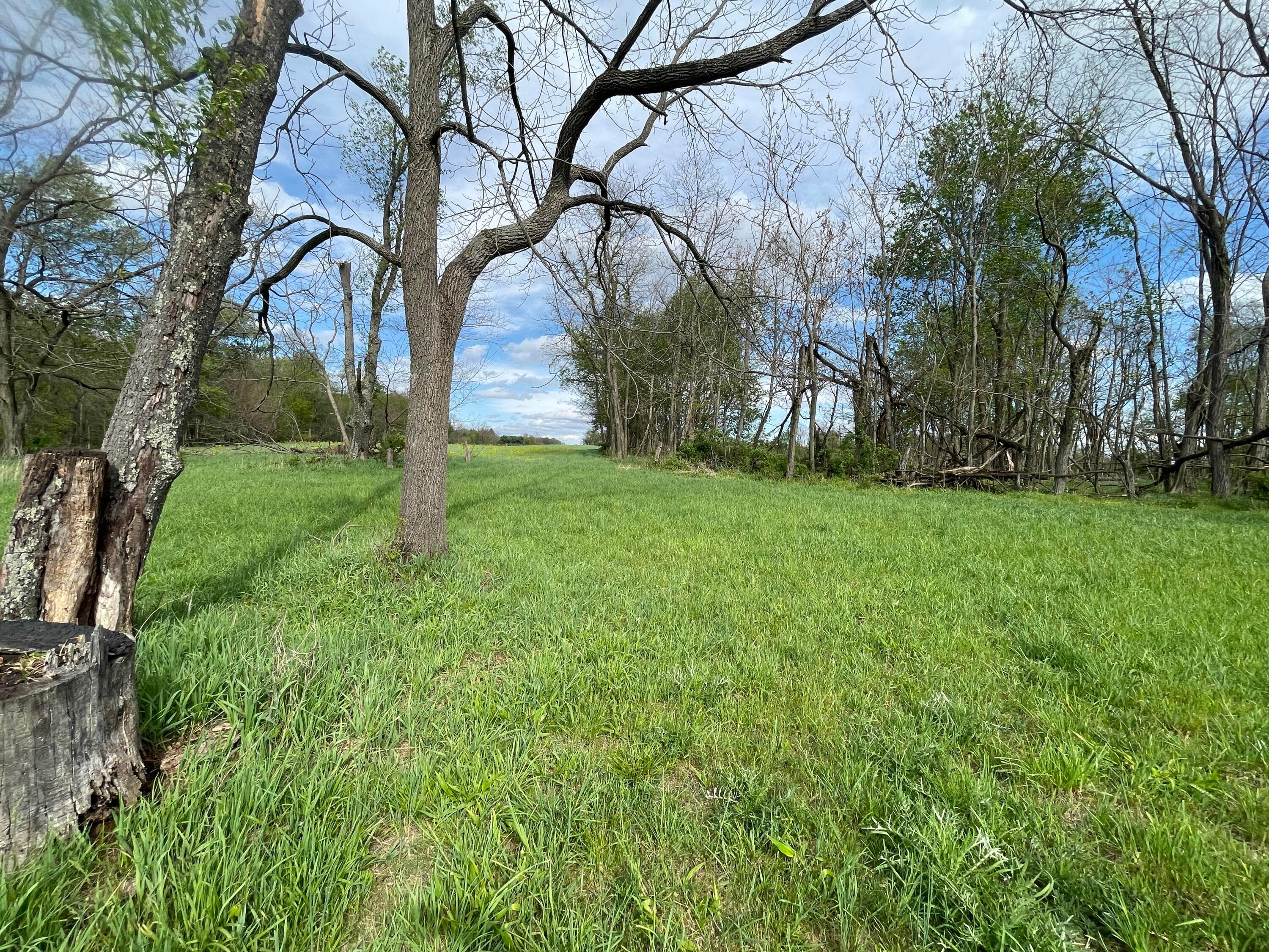 0 Monroe Mills Road Mount Vernon, OH 43050 - Photo 12 of 31 12