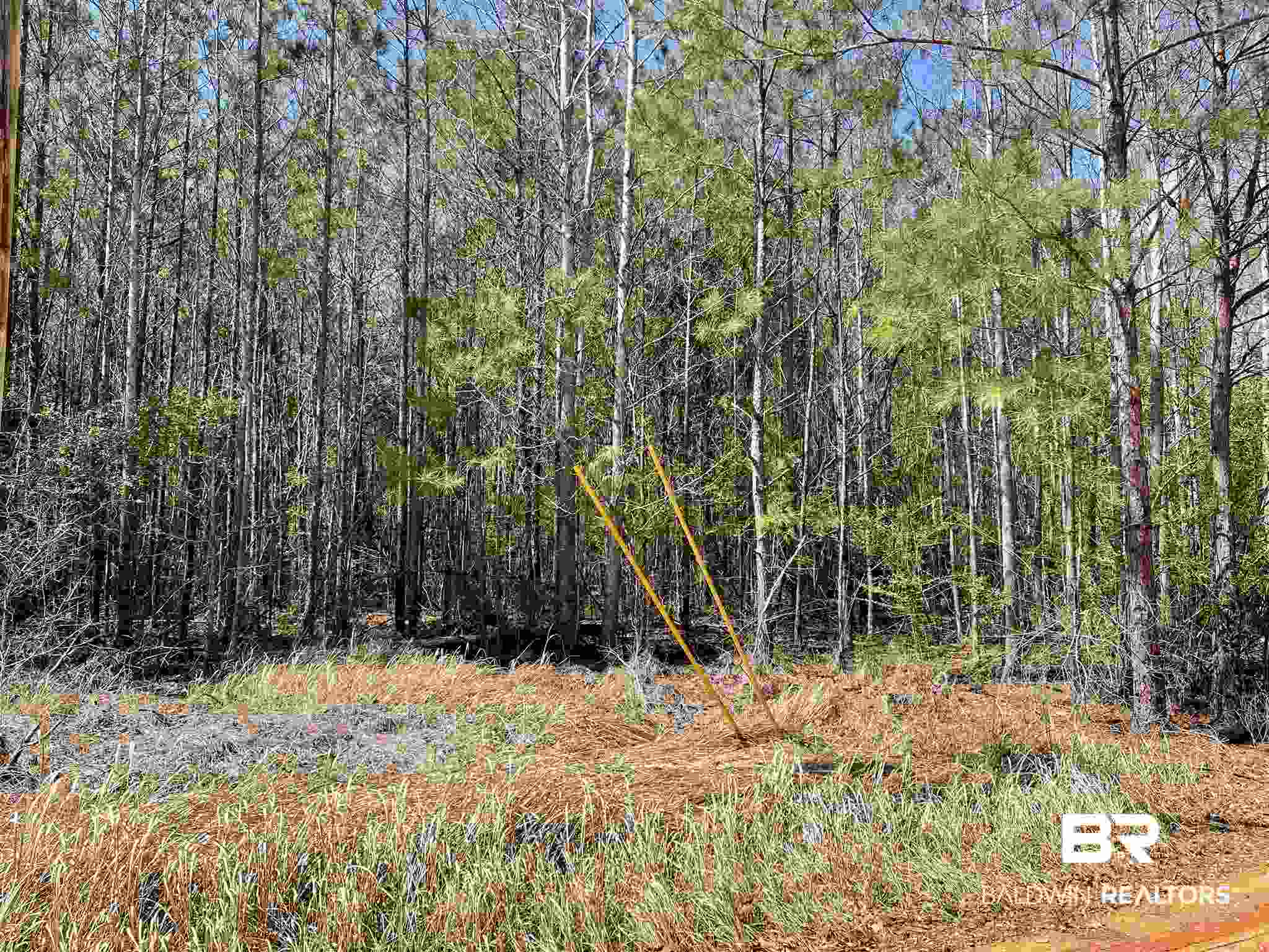 780 Adrian Avenue Monroeville, AL 36460 - Photo 3 of 3