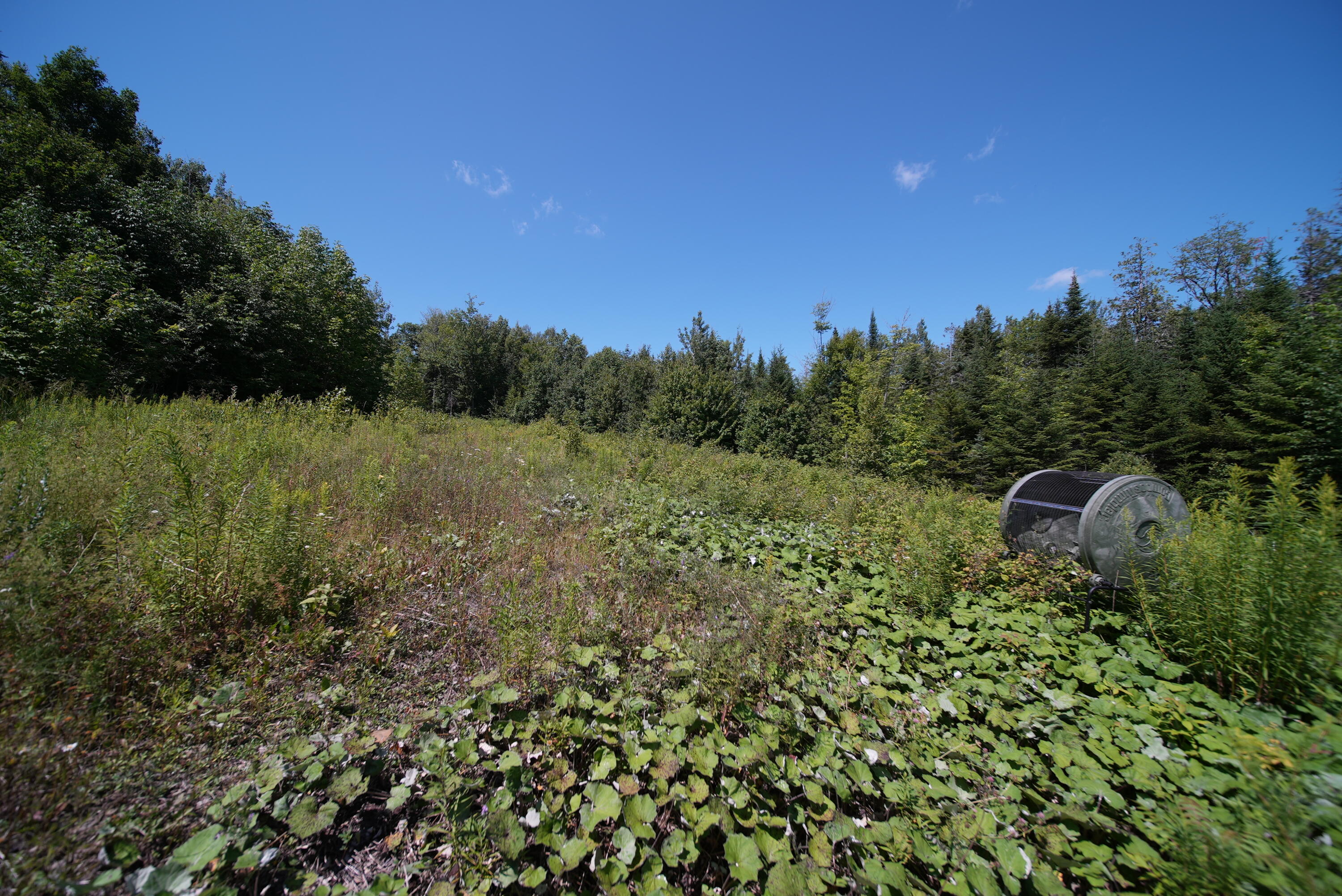 1694 U.S. Rte 1 Orient, ME 04471 - Photo 21 of 58 DSC07421