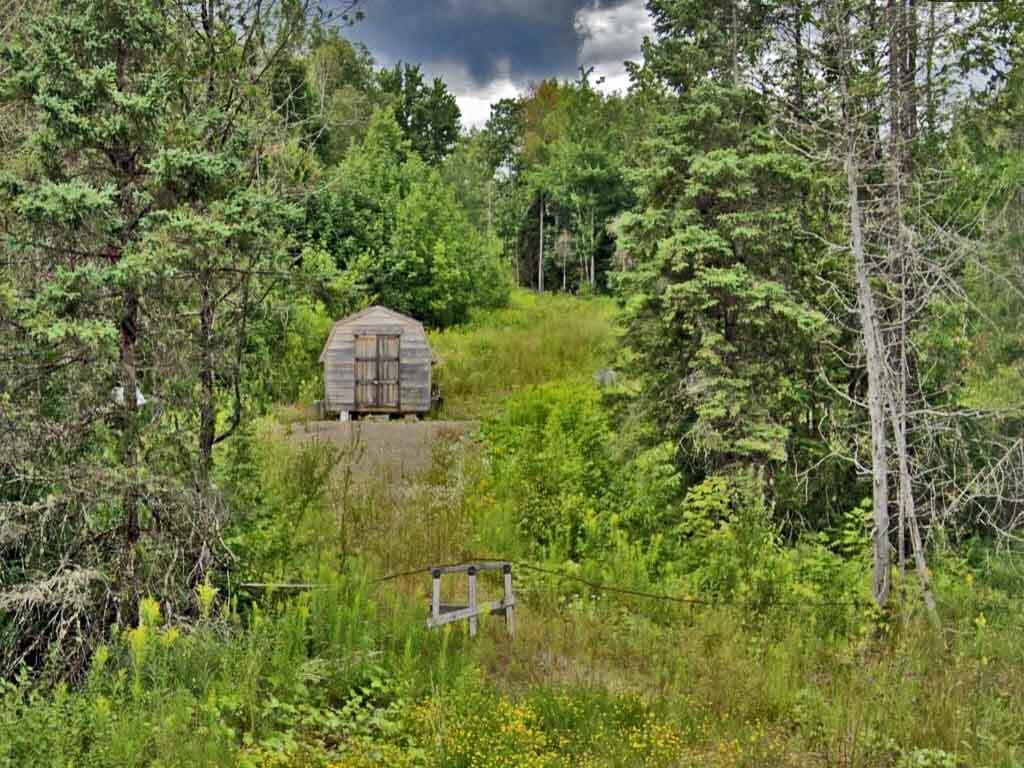 1694 U.S. Rte 1 Orient, ME 04471 - Photo 22 of 58 amish-shell-maine-land