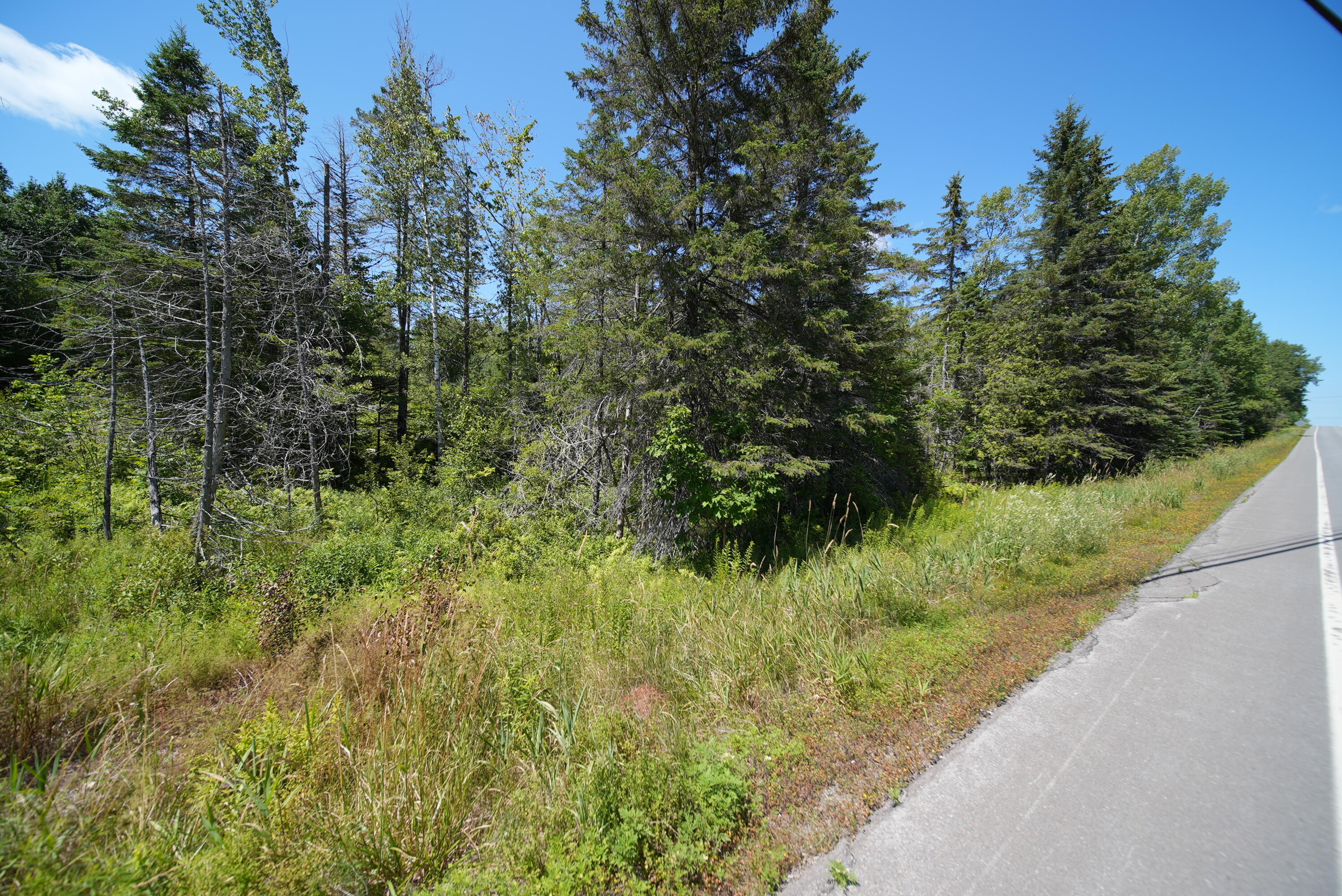 1694 U.S. Rte 1 Orient, ME 04471 - Photo 30 of 58 DSC07427