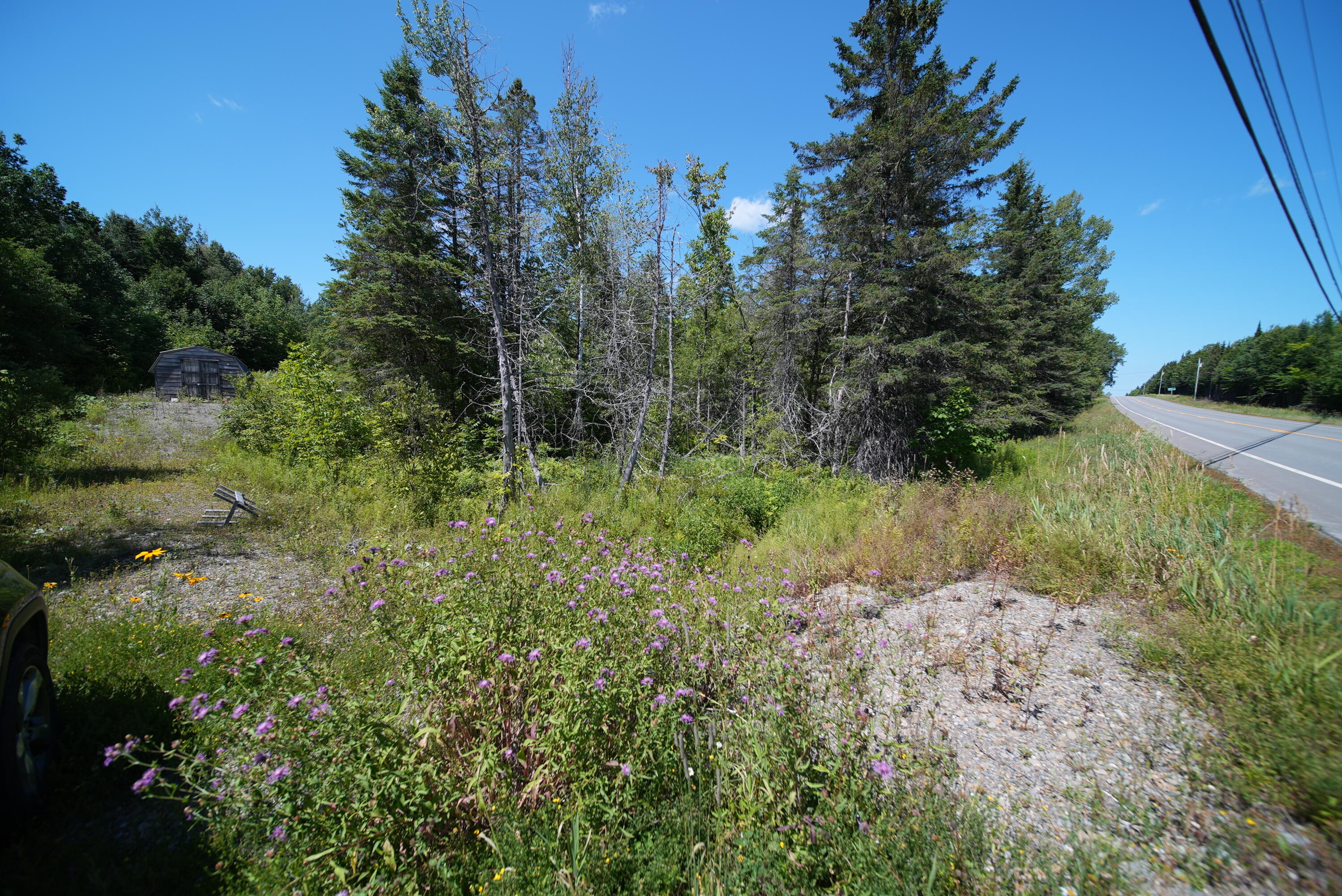 1694 U.S. Rte 1 Orient, ME 04471 - Photo 32 of 58 DSC07428