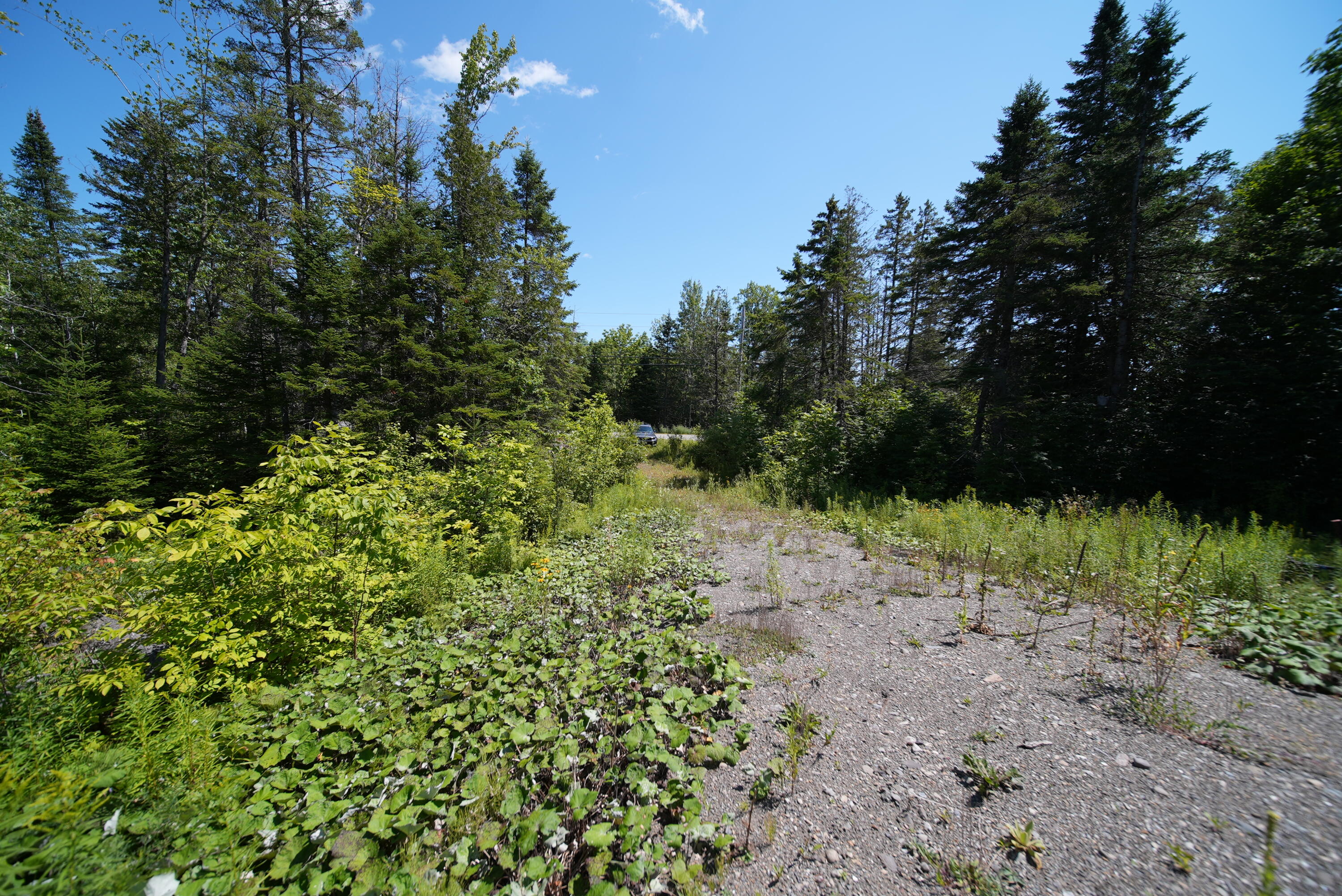 1694 U.S. Rte 1 Orient, ME 04471 - Photo 34 of 58 DSC07419