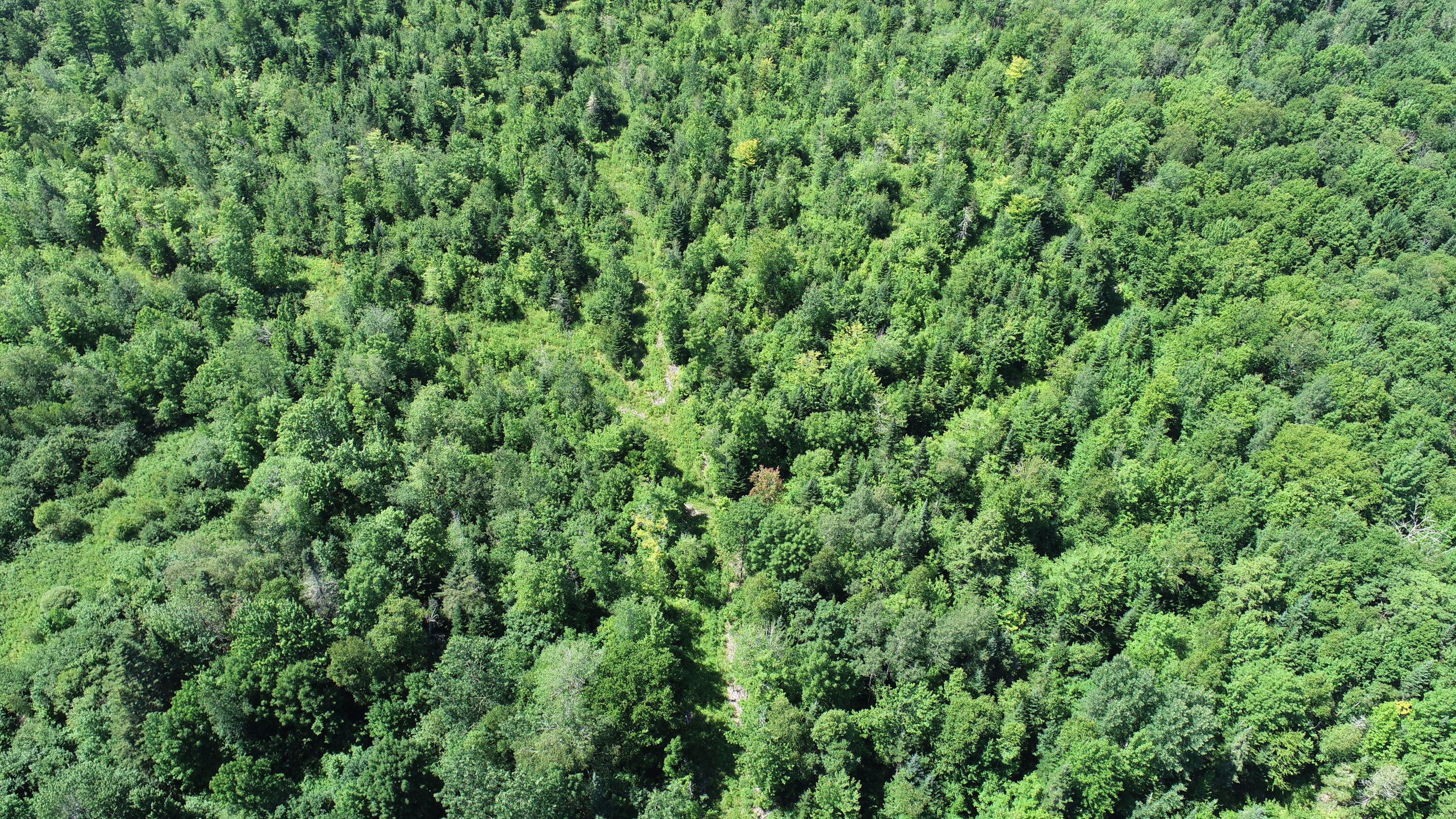 1694 U.S. Rte 1 Orient, ME 04471 - Photo 45 of 58 DJI_0108