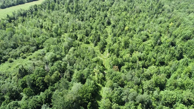 $139,500 | 1694 U.S. Rte 1, Orient, ME 04471