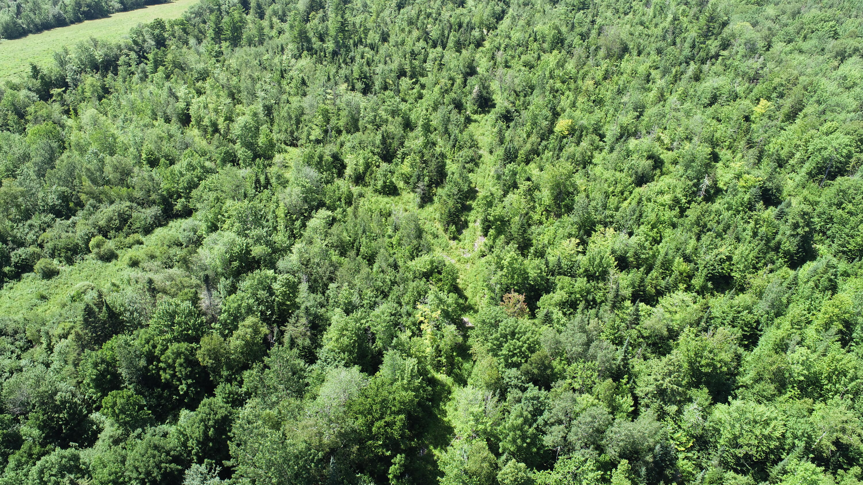 1694 U.S. Rte 1 Orient, ME 04471 - Photo 49 of 58 DJI_0119