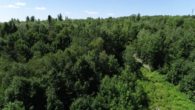 $139,500 | 1694 U.S. Rte 1, Orient, ME 04471