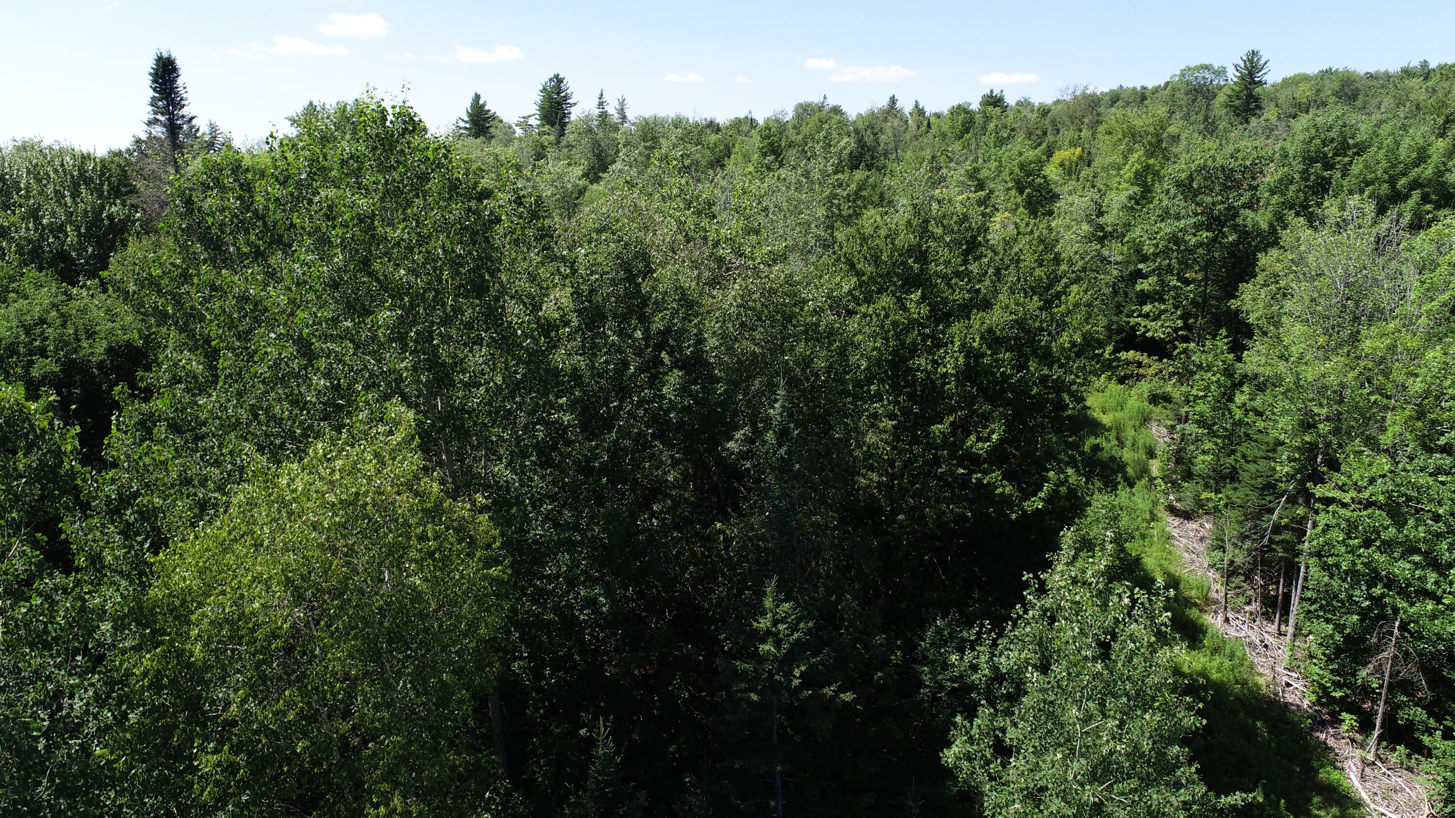 1694 U.S. Rte 1 Orient, ME 04471 - Photo 55 of 58 DJI_0132