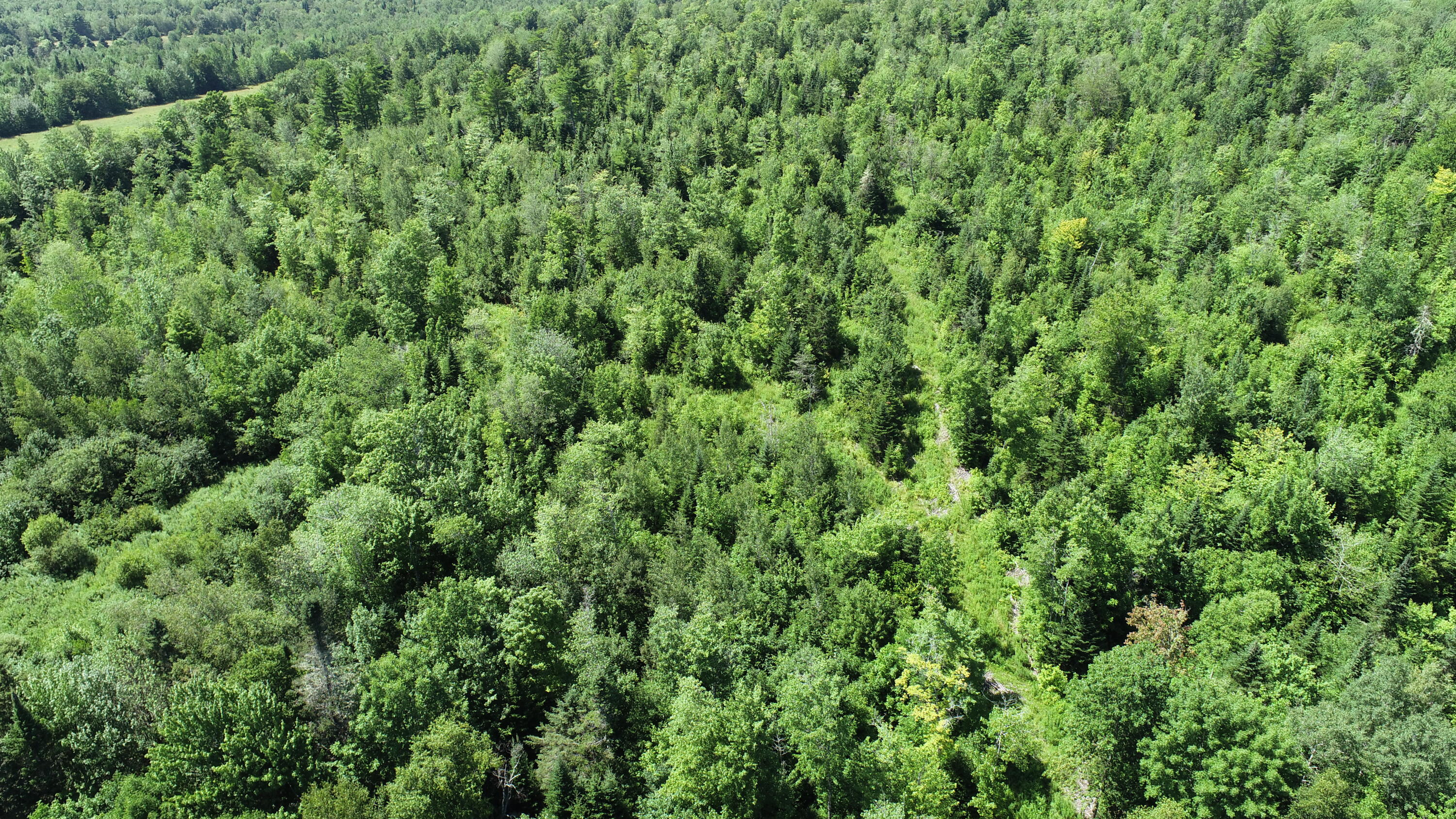 1694 U.S. Rte 1 Orient, ME 04471 - Photo 56 of 58 DJI_0134