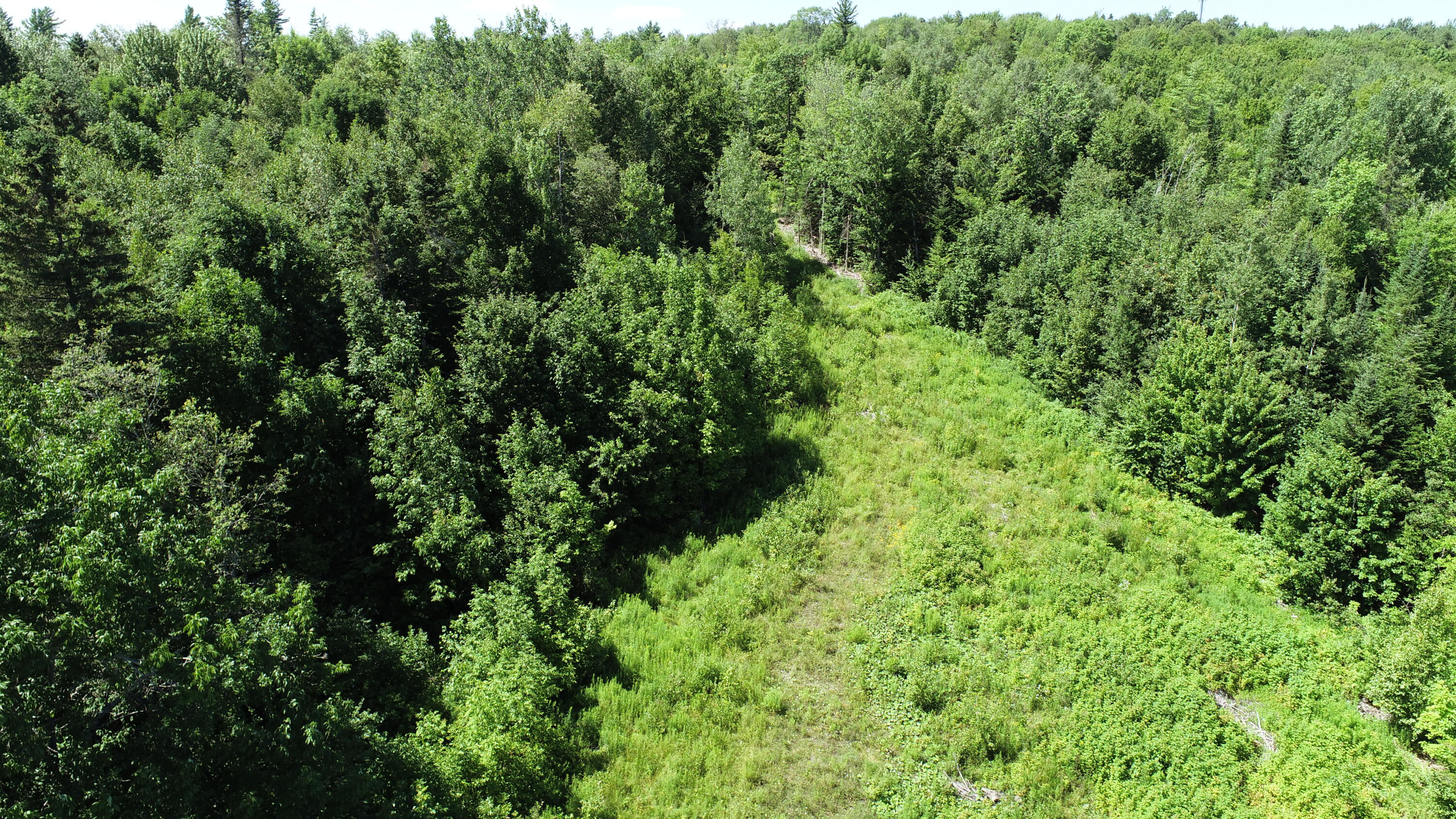 1694 U.S. Rte 1 Orient, ME 04471 - Photo 57 of 58 DJI_0136