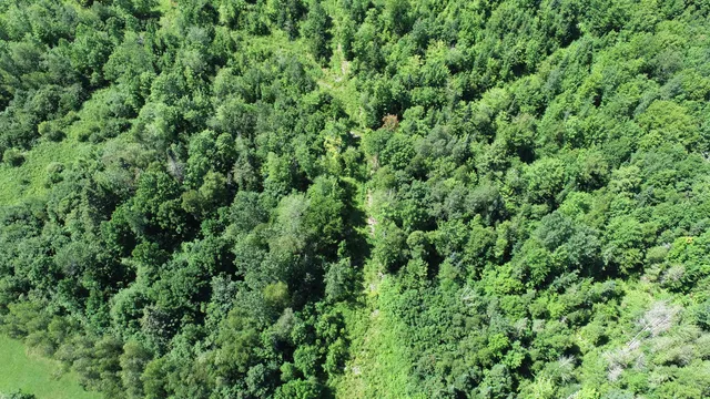 $139,500 | 1694 U.S. Rte 1, Orient, ME 04471