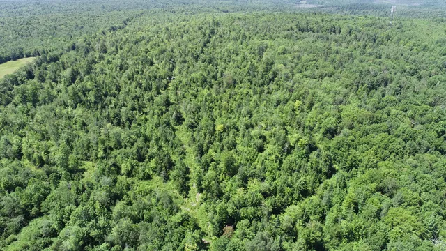 $139,500 | 1694 U.S. Rte 1, Orient, ME 04471