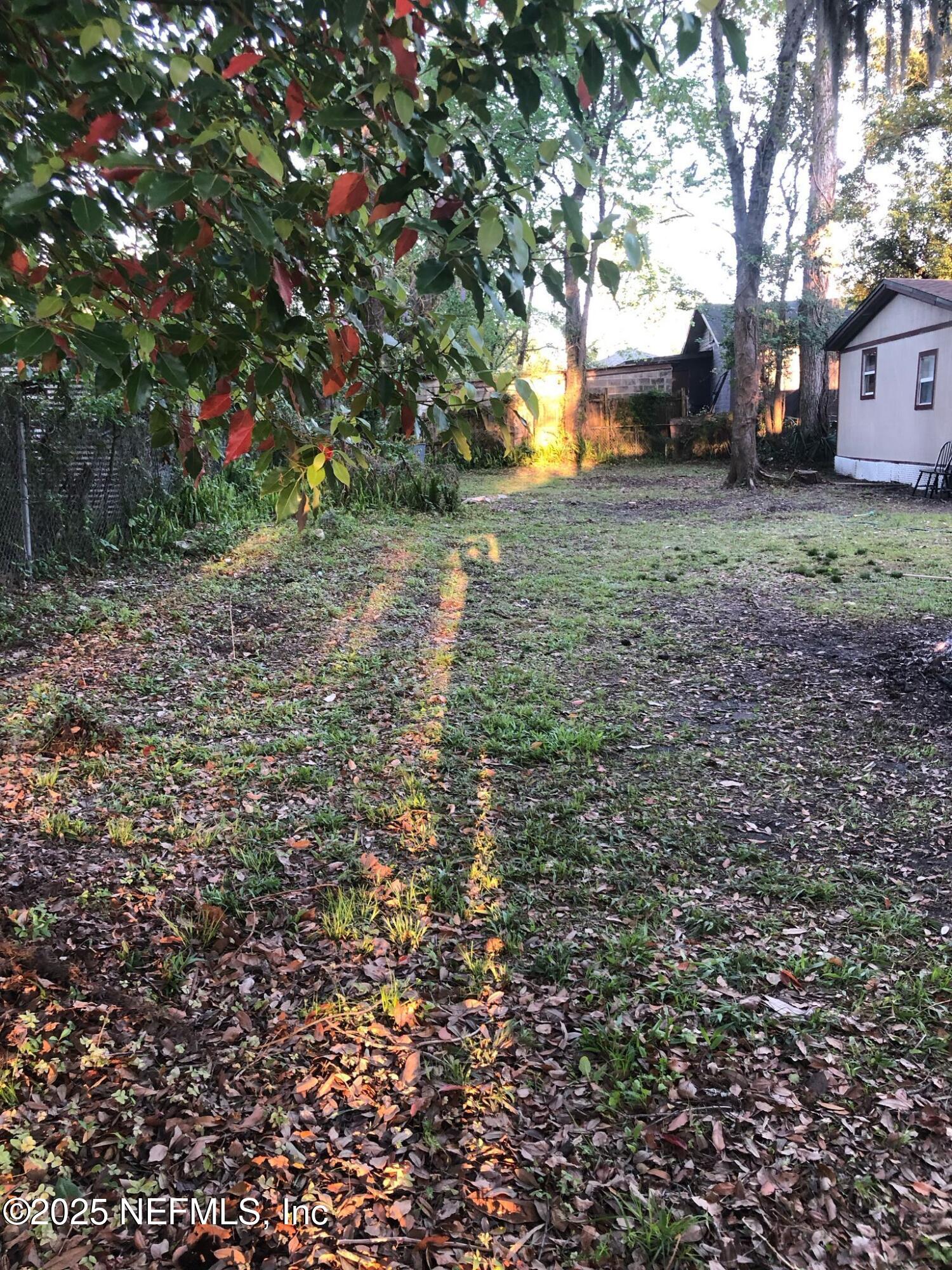 2815 Fleming Street Jacksonville, FL 32254 - Photo 37 of 37 a view of a tree in the middle of a yard