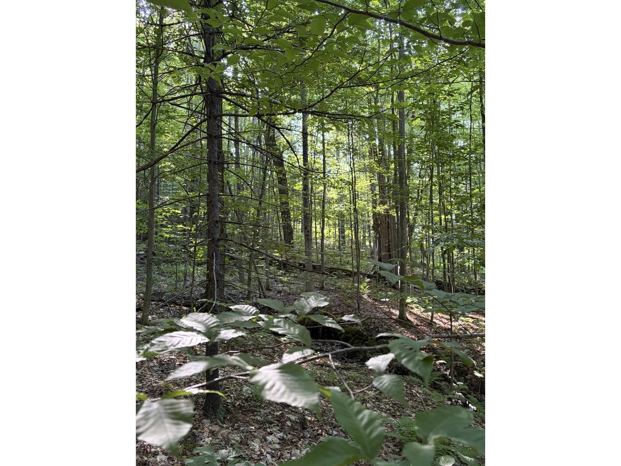 0 Old Carriage Road Waitsfield, VT 05673 - Photo 18 of 24