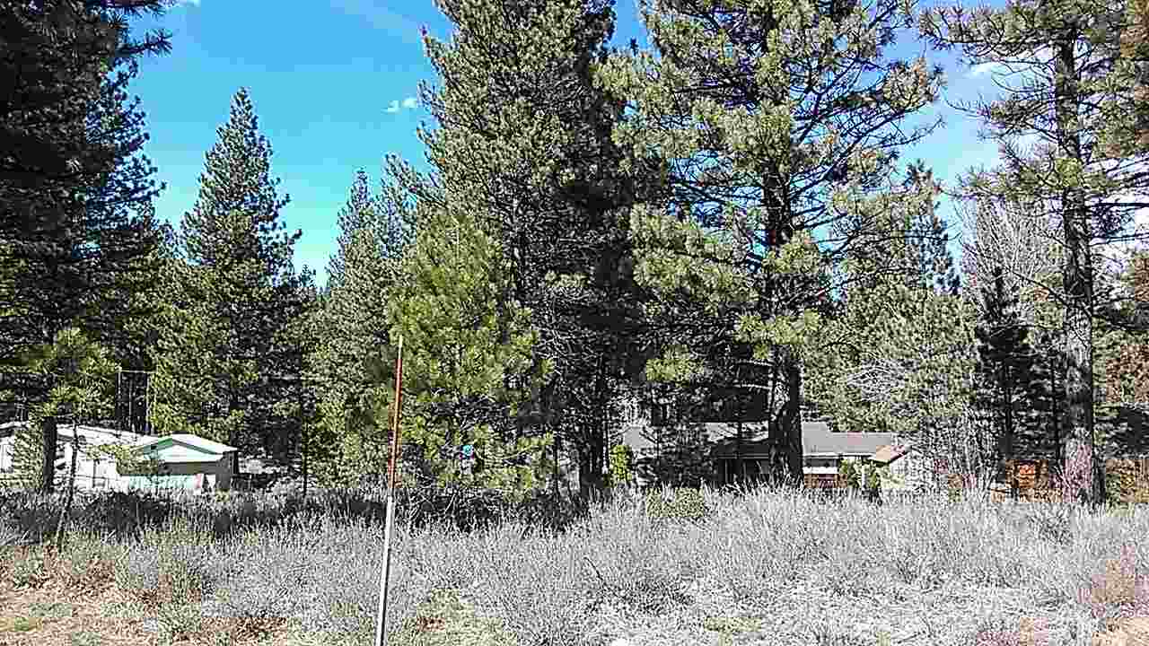 212 Calpine Avenue Calpine, CA 96124 - Photo 1 of 1