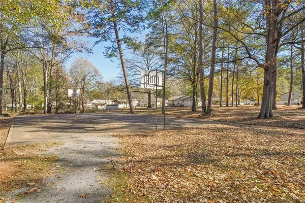 a view of a yard with tree s