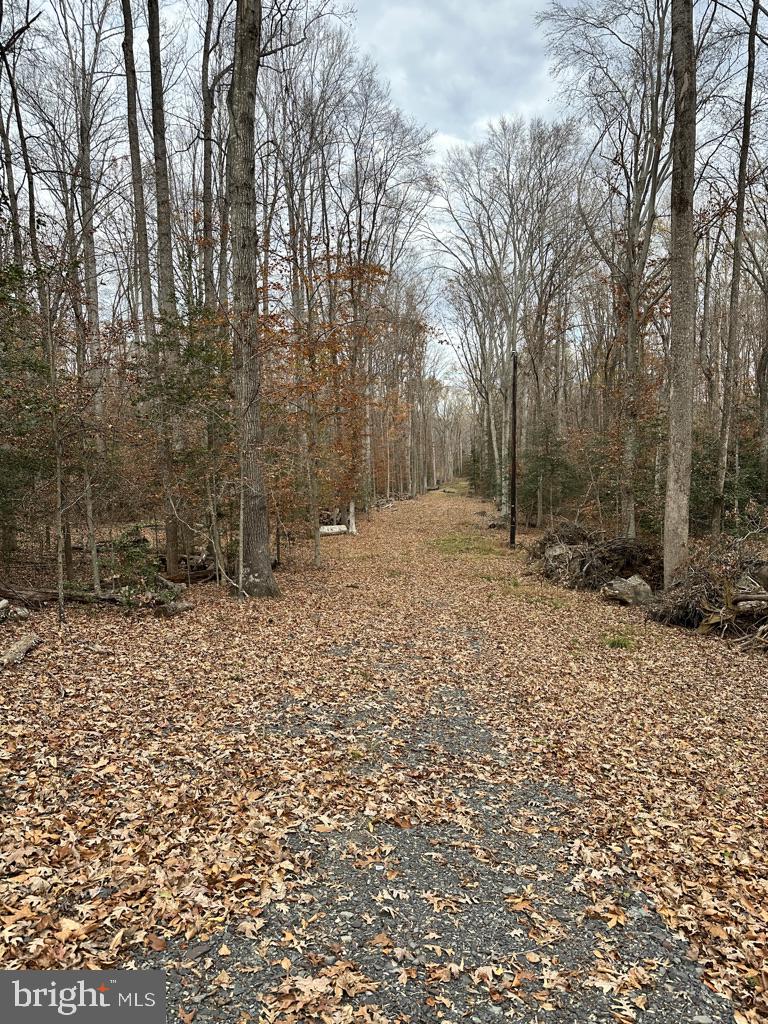 14409 Spotswood Furnace Road Fredericksburg, VA 22407 - Photo 15 of 15 a backyard of a house with lots of green space